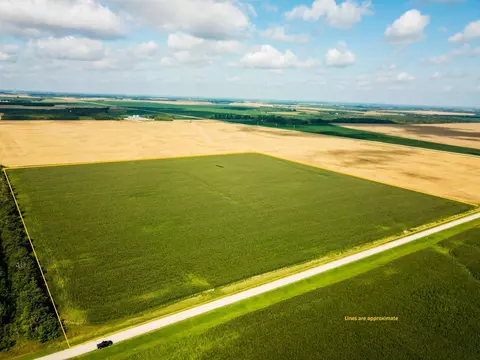 Nnnn 330th Avenue, Stokes Twp, MN 56714