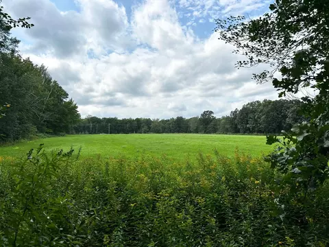 tbd 37th Ave SW, Home Brook Twp, MN 56472