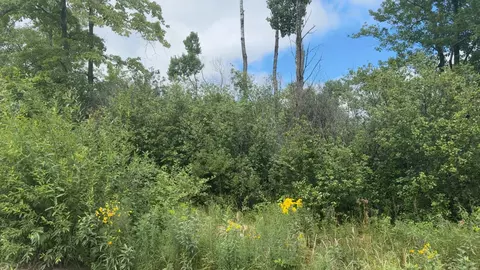 lot5 Ruby Ln, Brainerd, MN 56401 photo 6