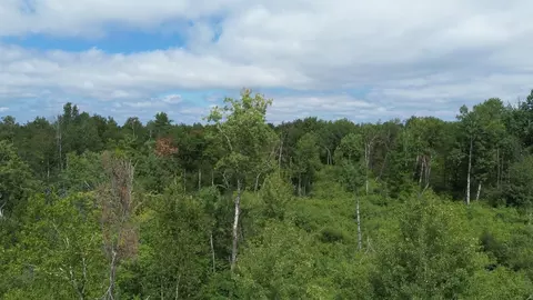 lot5 Ruby Ln, Brainerd, MN 56401 photo 13