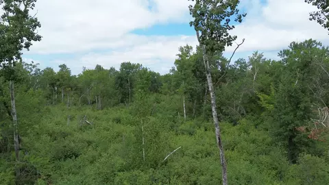 lot5 Ruby Ln, Brainerd, MN 56401 photo 3