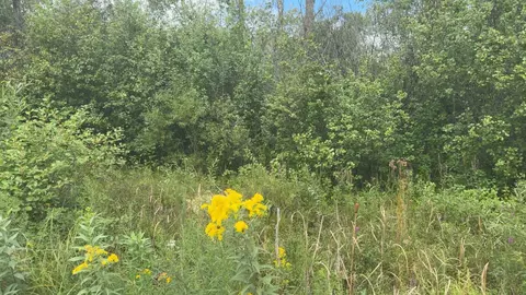 lot5 Ruby Ln, Brainerd, MN 56401 photo 5
