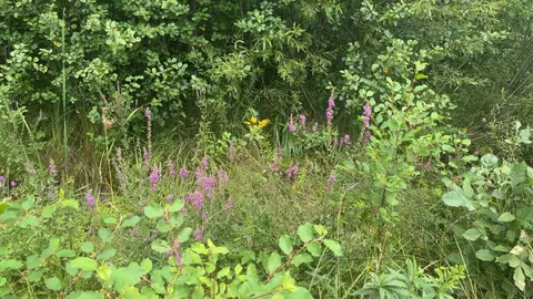 lot5 Ruby Ln, Brainerd, MN 56401 photo 7