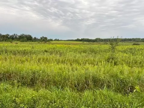 tbd Olympic St, Brook Park, MN 55007