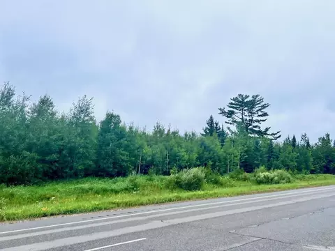 tbd Hwy 53, Cook, MN 55723 photo 8