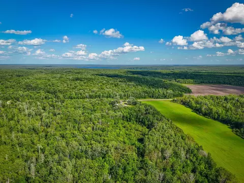 View/Area - 42149 County 45, Laporte, MN 56461 photo 21 of 37
