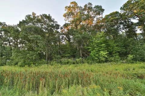 tbd 330th St, Motley, MN 56466