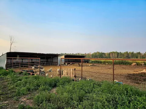 17430 280th St, Sebeka, MN 56477 photo 36