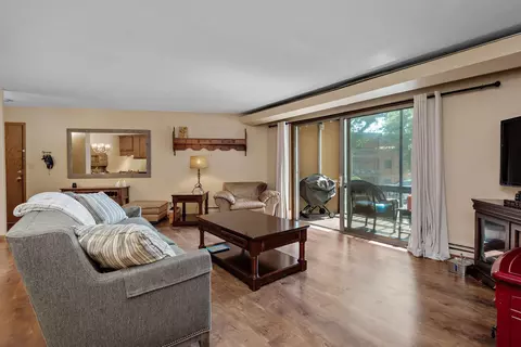 Living - 5450 Three Points Blvd #623, Mound, MN 55364 photo 4 of 4