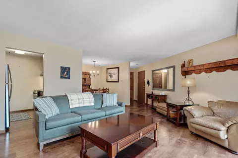 Living - 5450 Three Points Blvd #623, Mound, MN 55364 photo 3 of 4