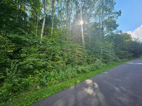tbd 263rd St, Shafer, MN 55074 photo 2
