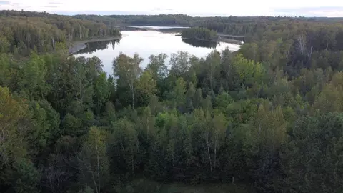 Parcel B E Gunn Lake Trail, Marcell, MN 56657