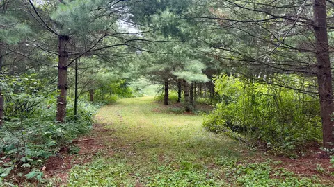 tbd County F Rd, Spooner, WI 54888 photo 4