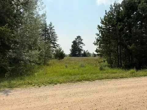 tbd Pony Lake Rd NW, Bemidji, MN 56601