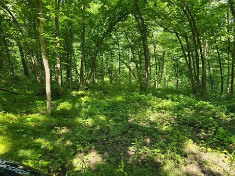 tbd 305th Ave, Erie Twp, MN 56501