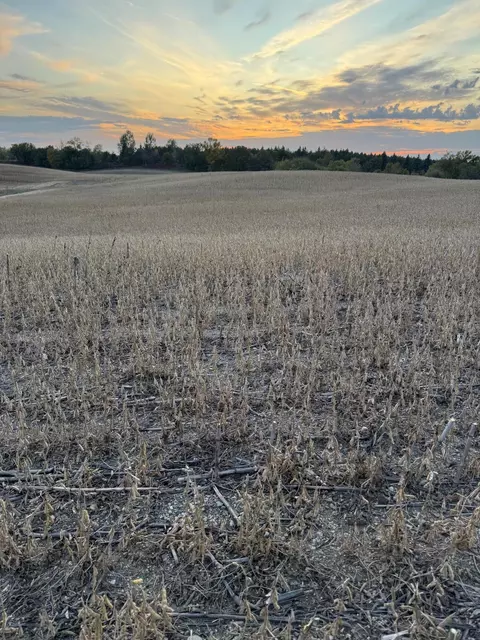 tbd Placid Dr, Dent, MN 56528
