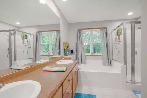 Bath - 10426 Hidden Oaks Ln N, Champlin, MN 55316 photo 2 of 4