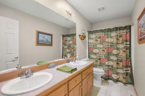 Bath - 10426 Hidden Oaks Ln N, Champlin, MN 55316 photo 3 of 4