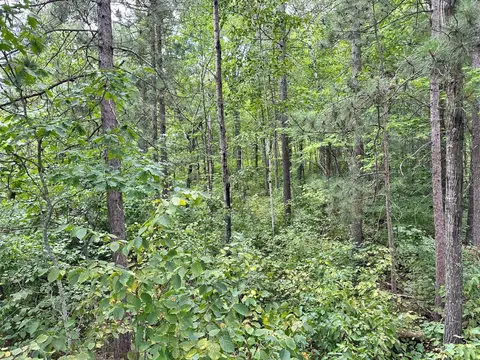 tbd W Five Point Lake Rd NW, Hackensack, MN 56452 photo 4