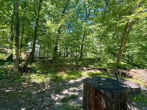 11105 Maple Ave, Frazee, MN 56544 photo 34