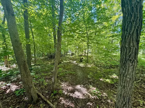 11105 Maple Ave, Frazee, MN 56544 photo 33