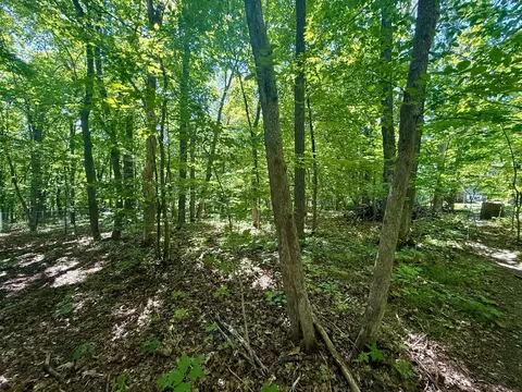 11105 Maple Ave, Frazee, MN 56544 photo 36