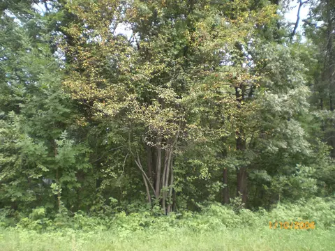 tbd N Lakeview Dr, Breezy Point, MN 56472