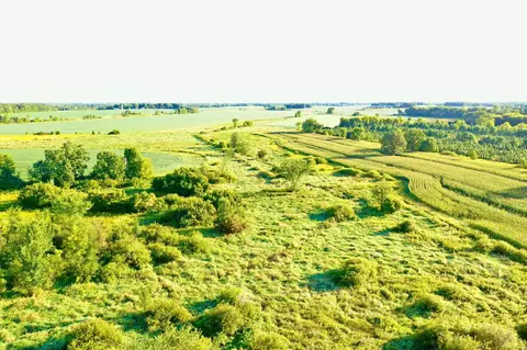 Naa 130th Ave, South Fork Twp, MN 56358