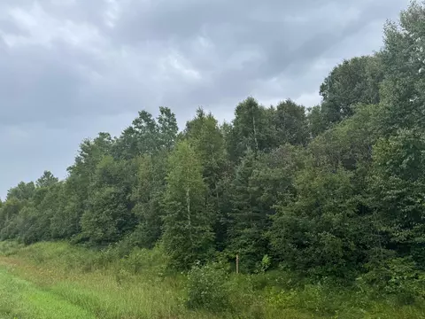 tbd Townline Rd, Brimson, MN 55602 photo 9