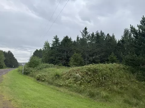 tbd Townline Rd, Brimson, MN 55602 photo 6