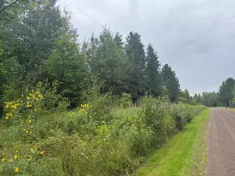tbd Townline Rd, Brimson, MN 55602 photo 4