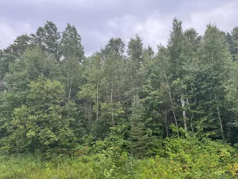 tbd Townline Rd, Brimson, MN 55602 photo 10