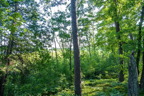 tbd Lantern Ln, Hackensack, MN 56655 photo 13