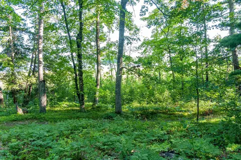 tbd Lantern Ln, Hackensack, MN 56655 photo 21