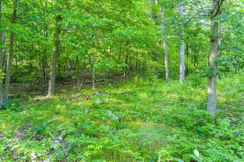 tbd Lantern Ln, Hackensack, MN 56655 photo 24