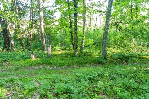 tbd Lantern Ln, Hackensack, MN 56655 photo 27