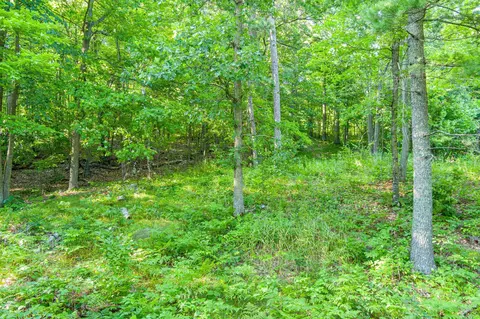 tbd Lantern Ln, Hackensack, MN 56655 photo 19