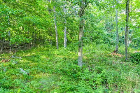 tbd Lantern Ln, Hackensack, MN 56655 photo 23