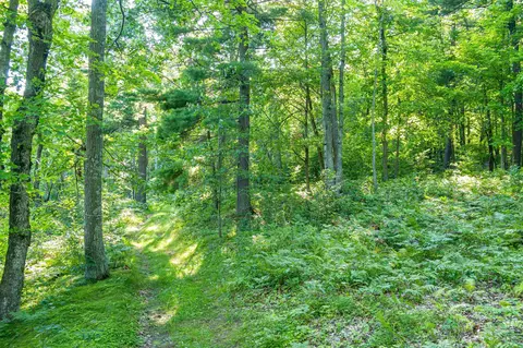 tbd Lantern Ln, Hackensack, MN 56655 photo 17