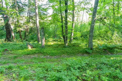 tbd Lantern Ln, Hackensack, MN 56655 photo 28