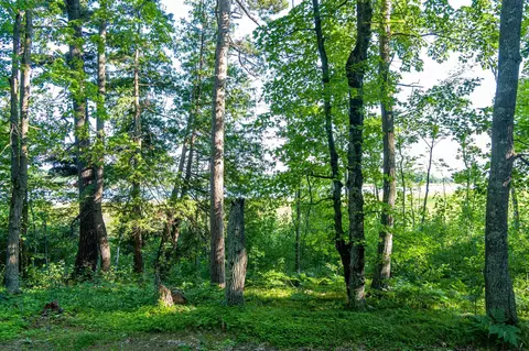 tbd Lantern Ln, Hackensack, MN 56655 photo 30