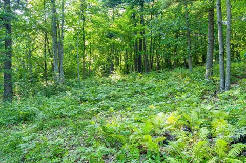 tbd Lantern Ln, Hackensack, MN 56655 photo 32