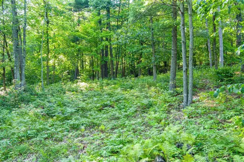 tbd Lantern Ln, Hackensack, MN 56655 photo 16