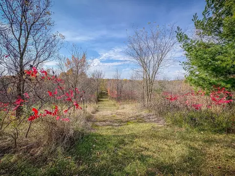 Other - 13744 270th St, Cold Spring, MN 56320 photo 66 of 72