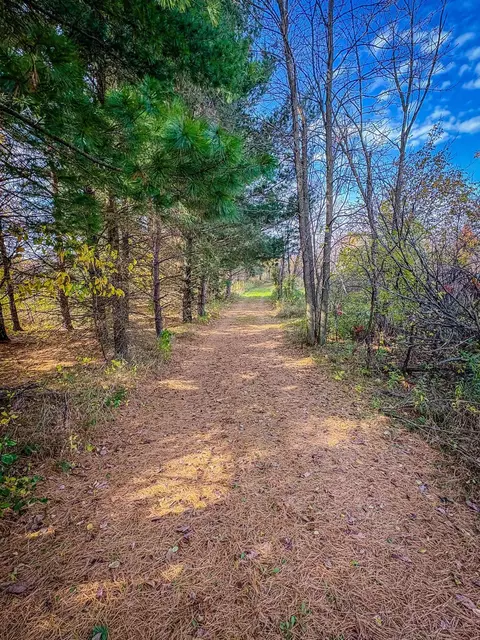 Other - 13744 270th St, Cold Spring, MN 56320 photo 69 of 72