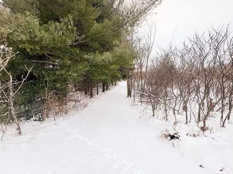 Other - 13744 270th St, Cold Spring, MN 56320 photo 71 of 72