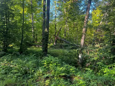 49760 197th Ave, Mcgregor, MN 55760 photo 6