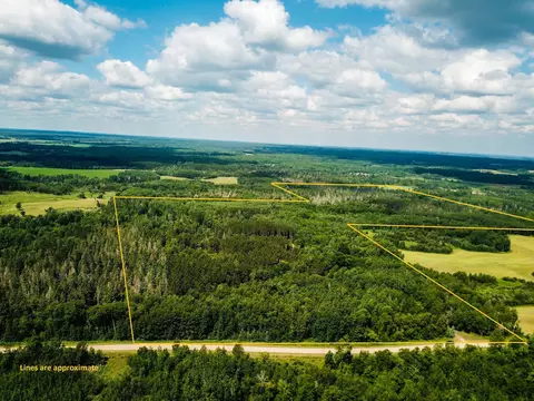 40699 Jack Pine Rd, Holst Twp, MN 56621