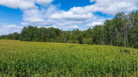tbd 180th St, Verndale, MN 56481
