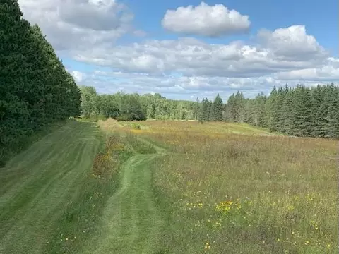 29505 County Highway 37, Round Lake N Twp, MN 56575